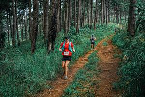 BIB: 
                            <button type="button" onclick="openModal(25695463)" class="btn btn-primary btn-sm float-right btn-popup" data-toggle="modal" data-target=".modal-high-quality">
                        <i class="fas fa-shopping-cart"></i> Add to Cart
                    </button>
                                            <button type="button" onclick="isThisMe(25695463, true)" class="btn btn-success btn-sm float-right btn-popup btn-isme hidden" data-toggle="tooltip" data-placement="bottom" title="นี่คือรูปของคุณใช่ไหม คลิกที่นี่เพื่อเอาเข้าอัลบั้ม">
                        <i class="fas fa-plus"></i> Add to album
                    </button>
                    <button type="button" onclick="isThisMe(25695463, false)" class="btn btn-warning btn-sm float-right btn-popup btn-isnotme hidden">
                        <i class="fas fa-ban"></i> Remove from album
                    </button>